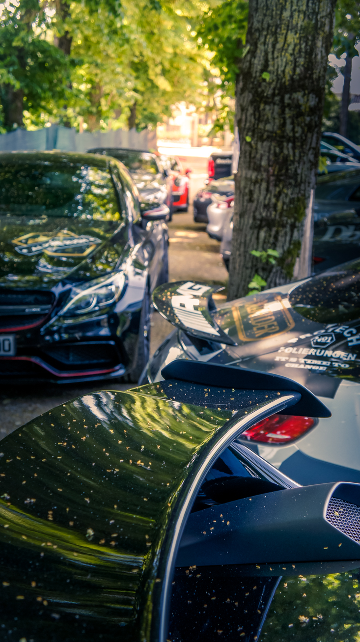 AlpineRushBILDER1-51