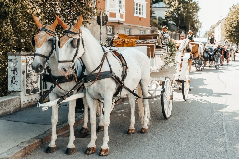 Monchstein Hochzeit-38